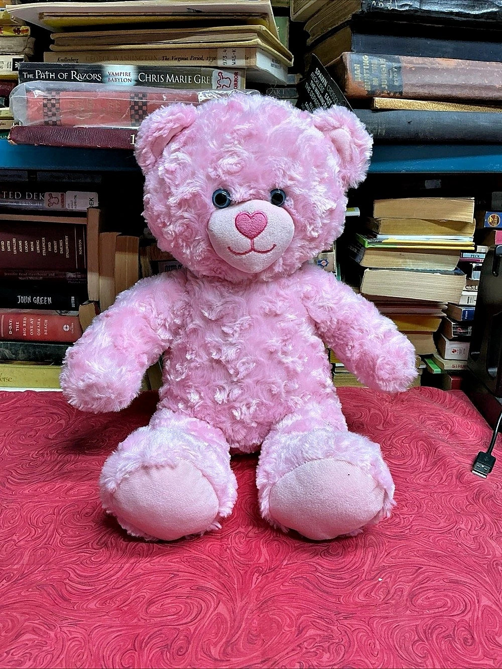 Build-A-Bear Workshop Pink Cuddles Teddy Pink Plush Bear